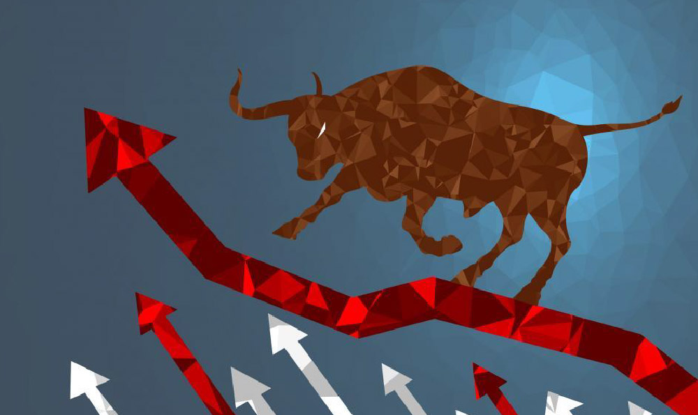 Investing in a Company: What's the Best Approach, and Where Do I Begin?