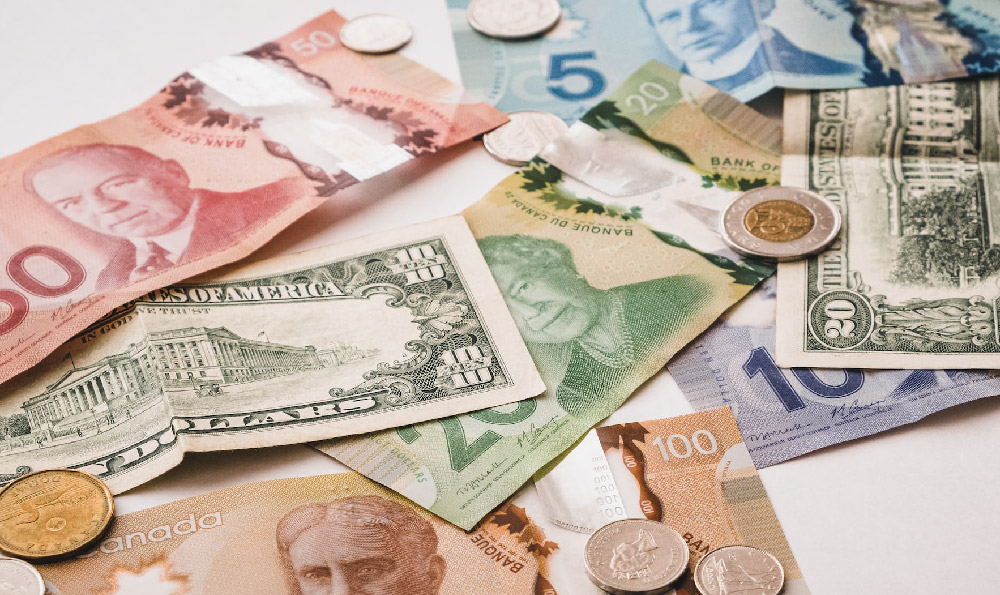 Investing in the Stock Market: How and Why?