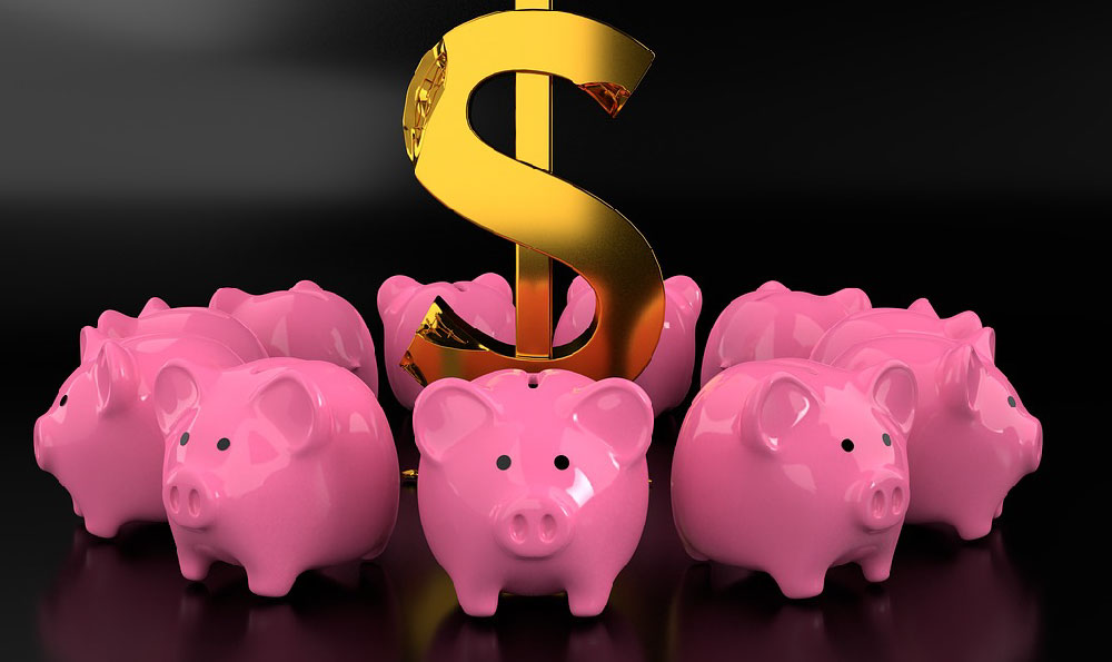 Investing for Profit: What Works and What Doesn't?