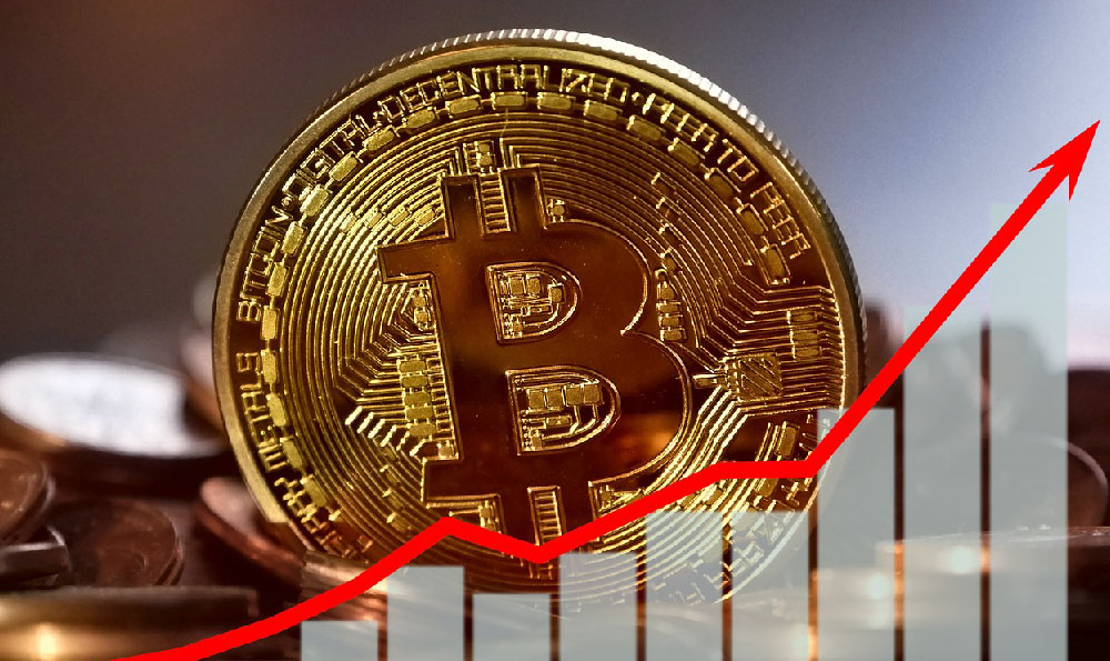 What information reveals Alex's investments? What do they demonstrate?