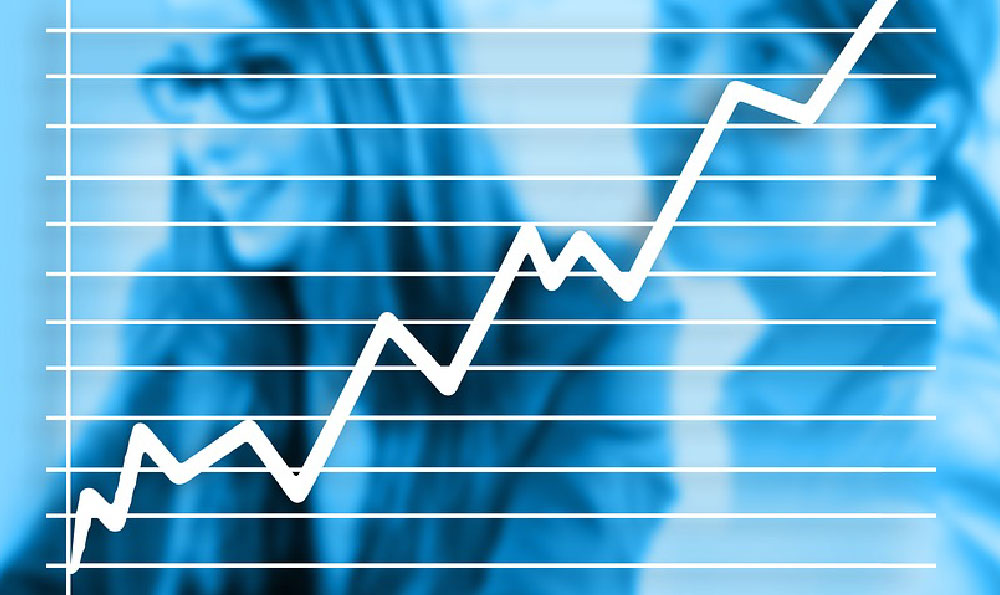 Investing in a Company: How and Where to Start?